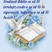 importanta-bibliei_60abacc15f9570