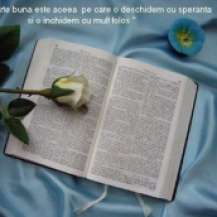 biblia-7_9cecca4d1635ea